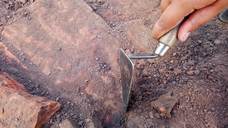 Hand digging with trowel