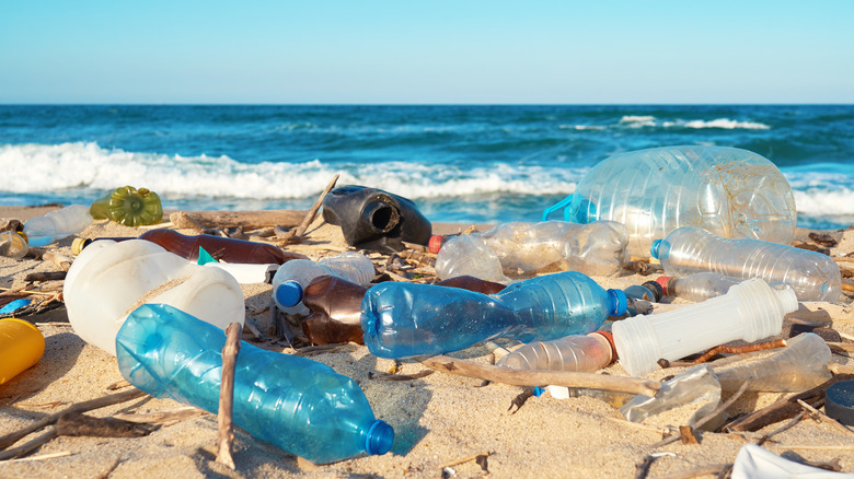 Plastic pollution on a beach