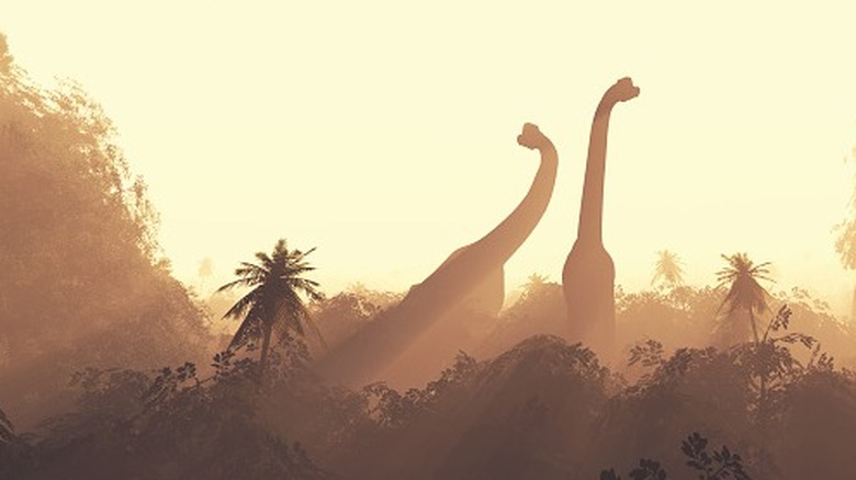 Sauropod silhouette