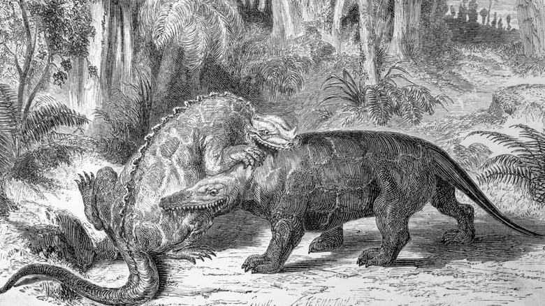 Outdated depiction of dinosaurs fighting