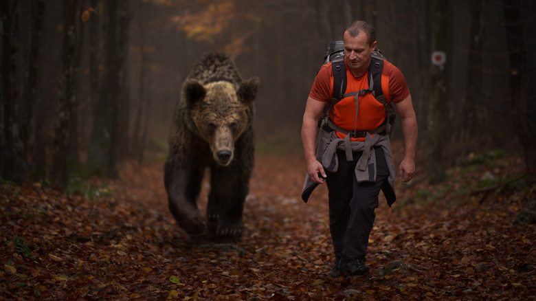 man hiking followed by a bear