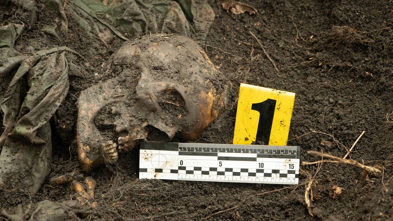 mutilated skeletal remains