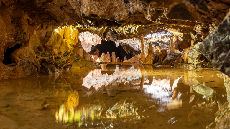 rock formations in Gough's cave