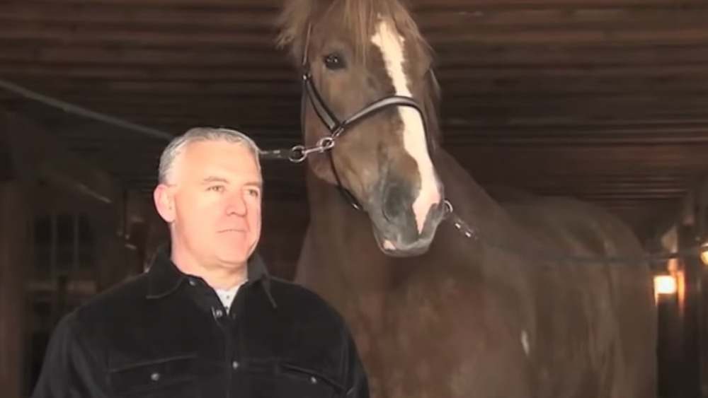 Big Jake standing with his owner