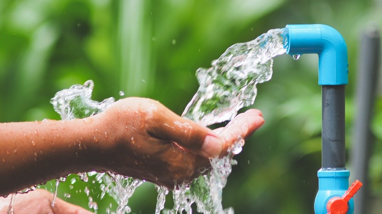 hand under running tap water