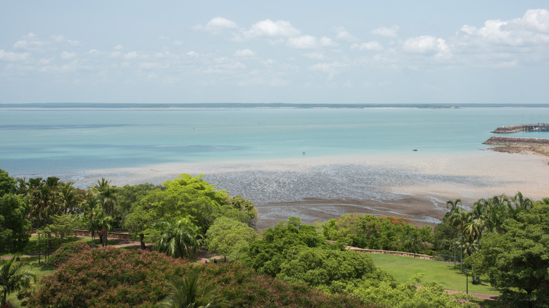 Tiwi Island view