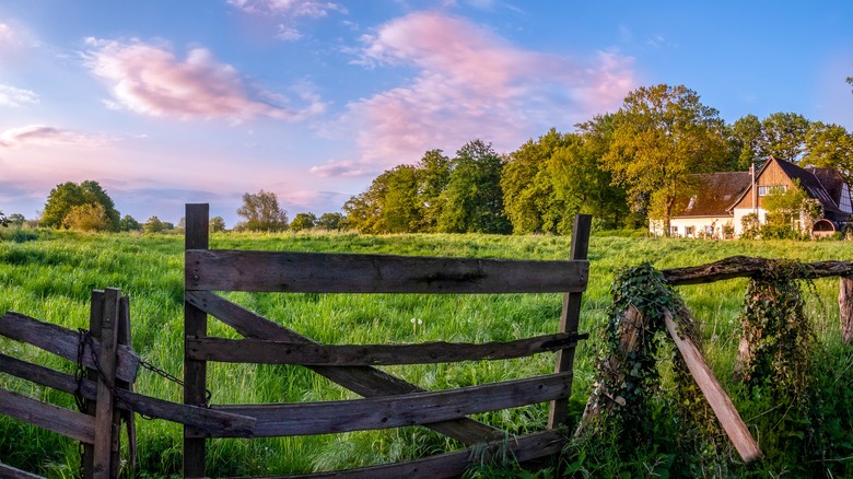 Ford family farm