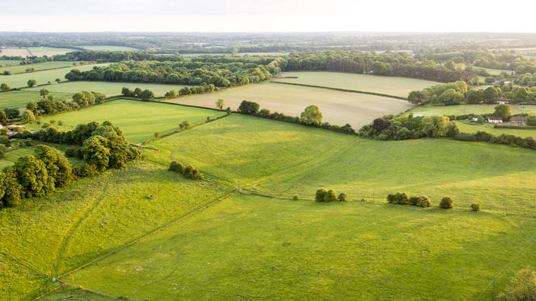 the english countryside