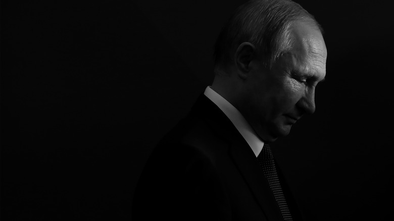 vladimir putin in the shadows