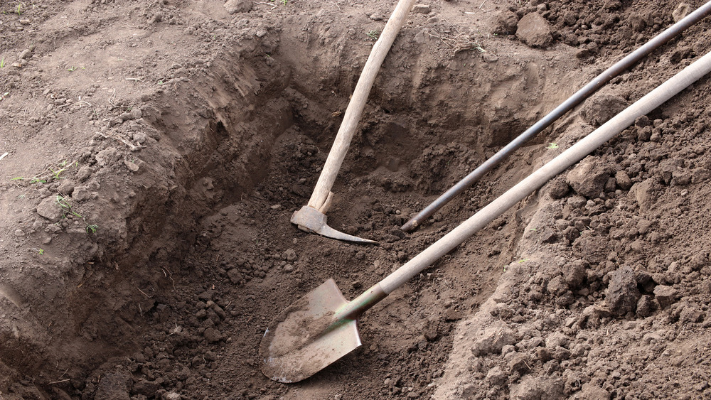 Dorothea Puente buried bodies backyard