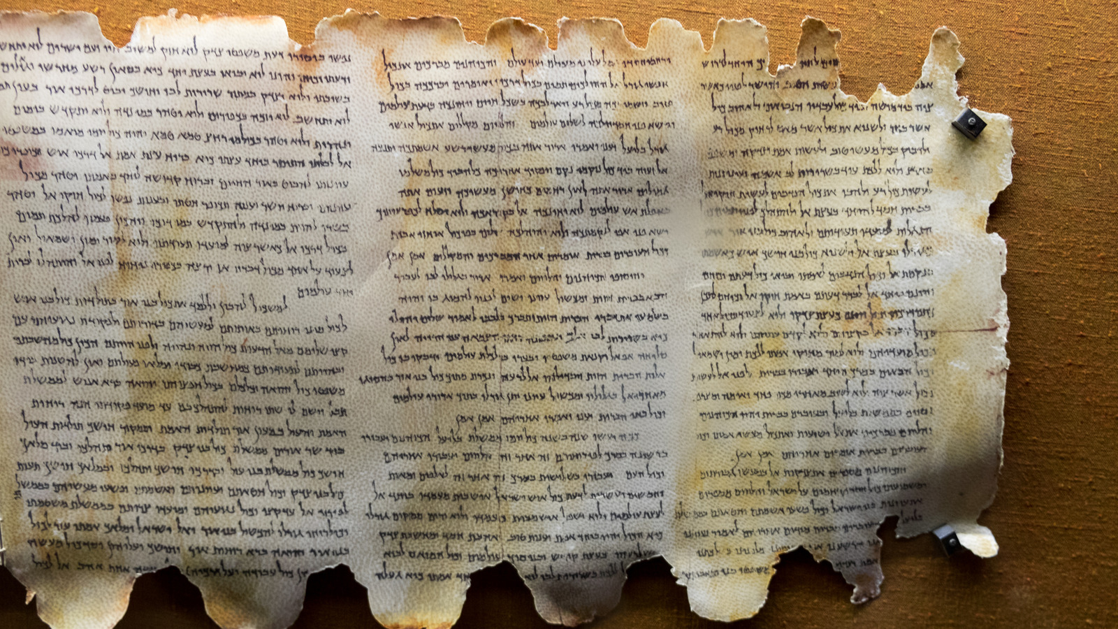 Here's How The Dead Sea Scrolls Were Discovered