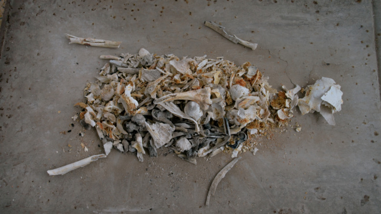 cremains spread out for inspection