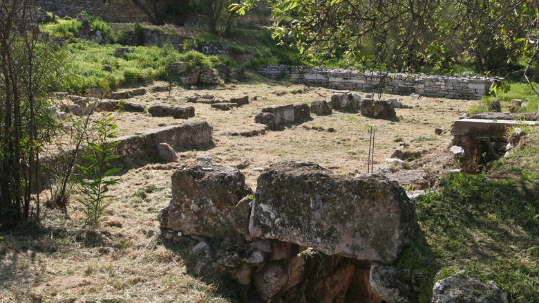 socrates' cell in the desmoterion