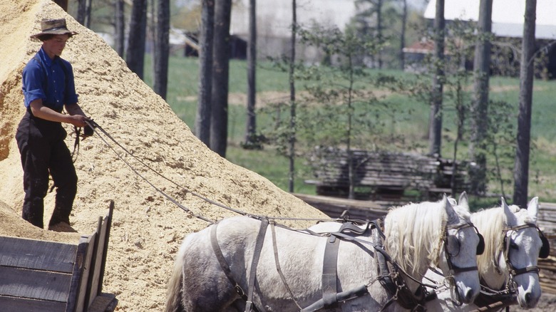 Amish farm scene in Pennsylvania