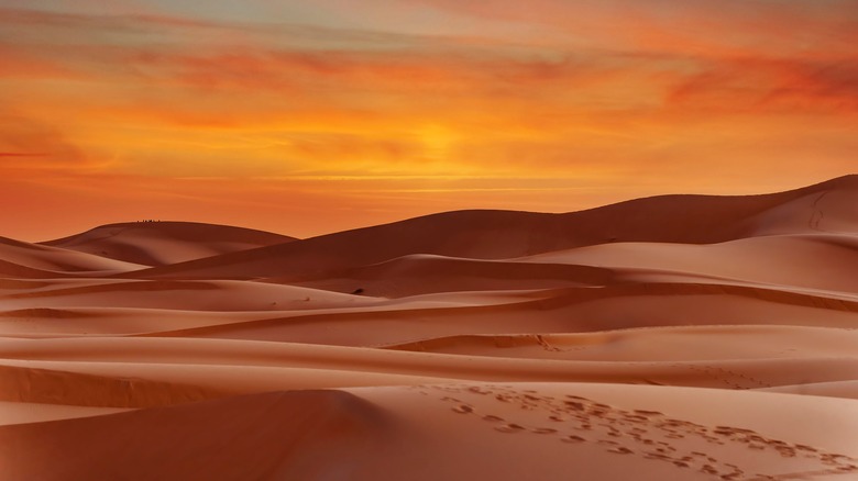 Desert landscape of the Sahara.