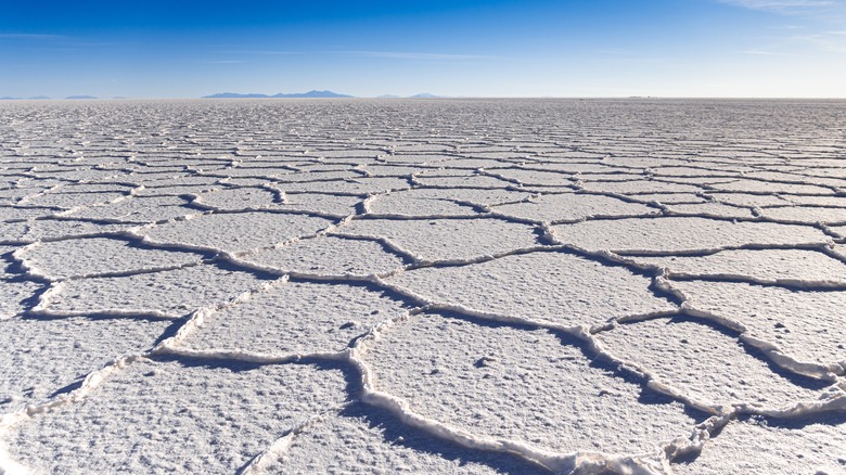 Salt flats under blue sky