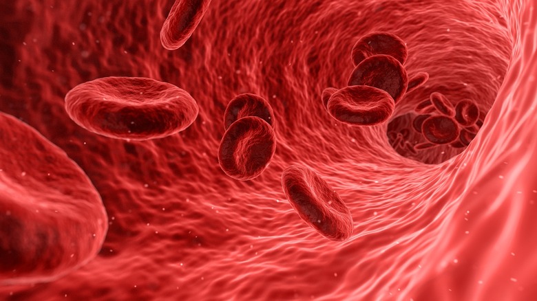red blood cells in human body
