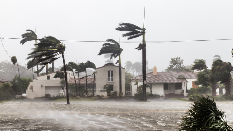 Hurricane Irma winds in Florida