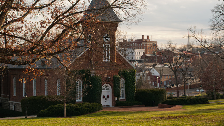 Tree obscures University Chapel