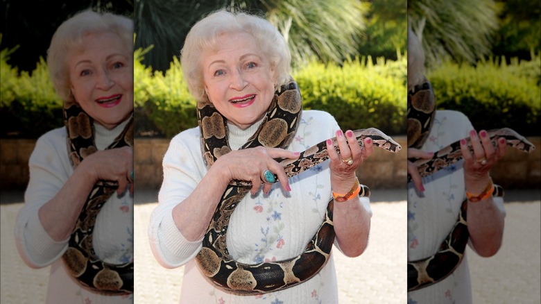 Betty White snake