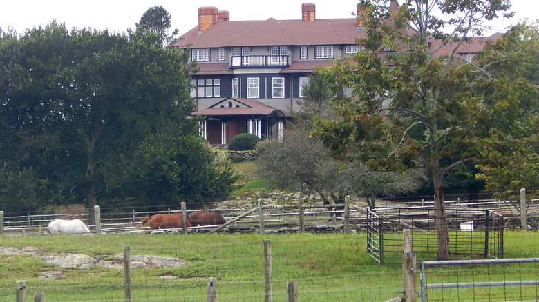 The Hammersmith Farm