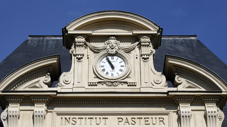 pasteur institute