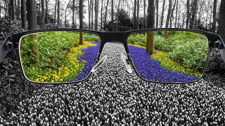 glasses showing colors amid black and white