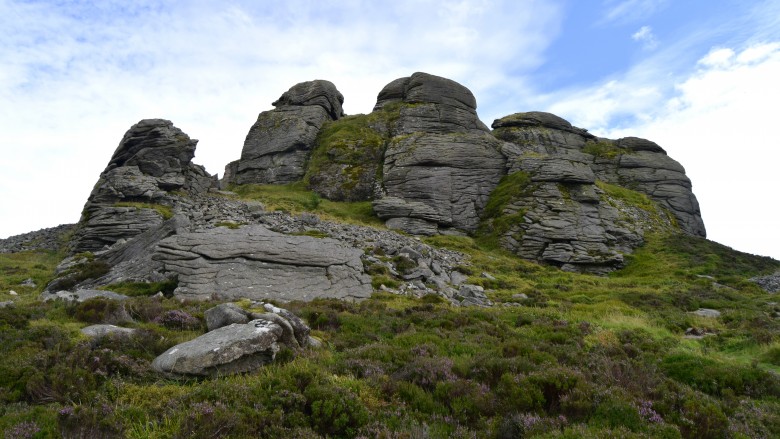 The Newton Stone