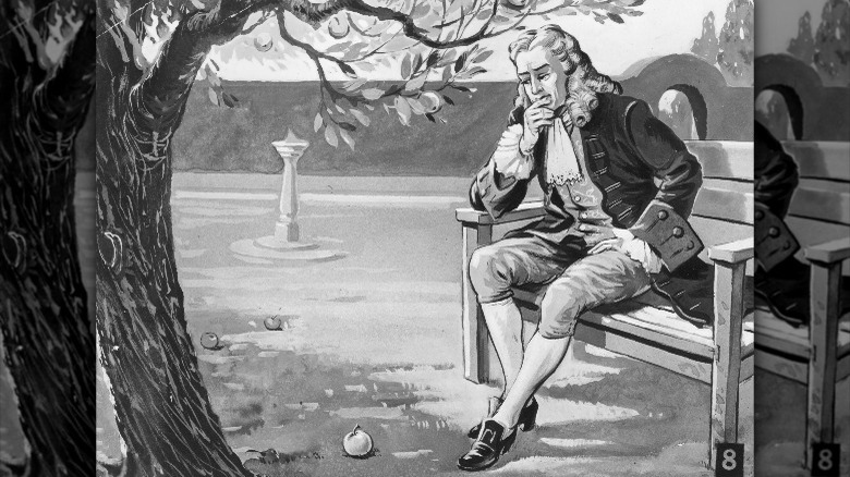 isaac newton under tree apple