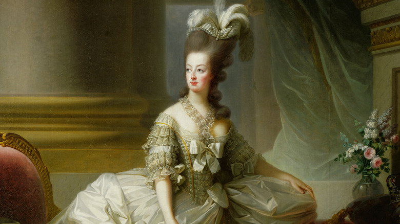 Marie-Antoinette portrait with hoop skirt