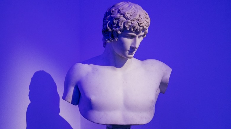 Bust of Antinous in museum