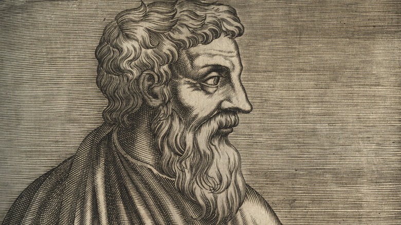 Dioscorides beard looking sideways