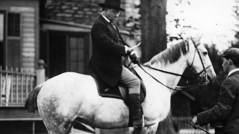 theodore roosevelt horse