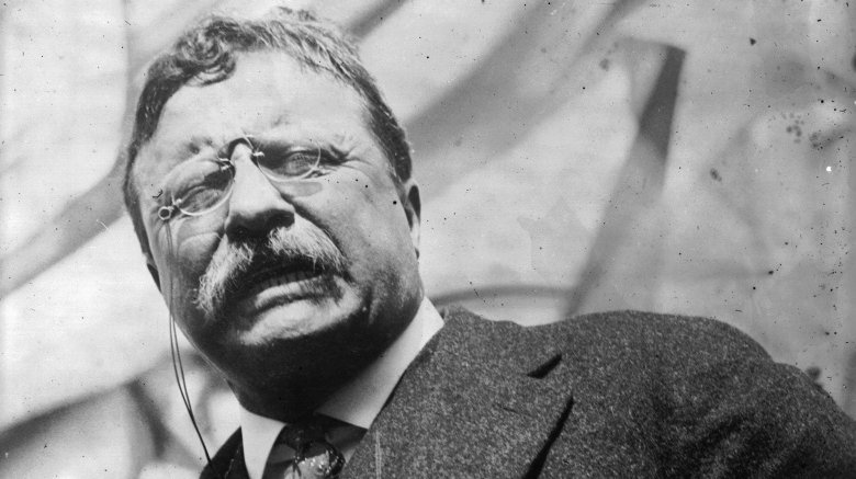 theodore roosevelt 