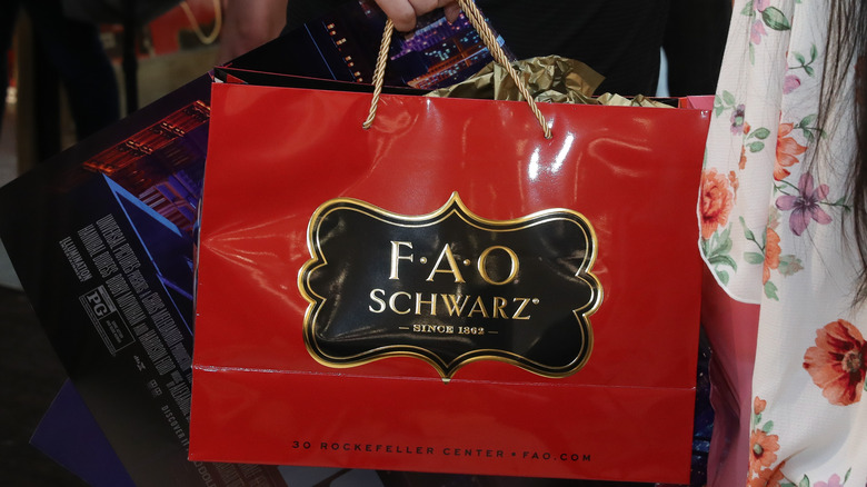 FAO Schwarz bag