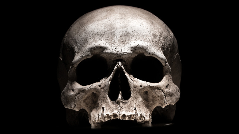 Human skull on black background