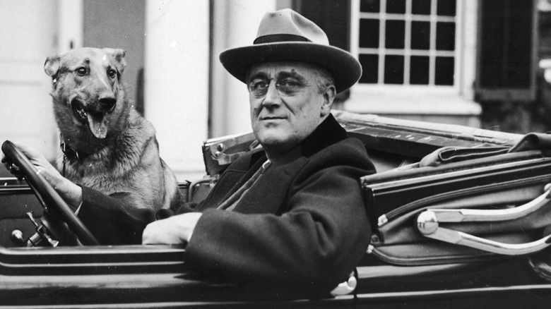 Franklin Roosevelt drives his dog