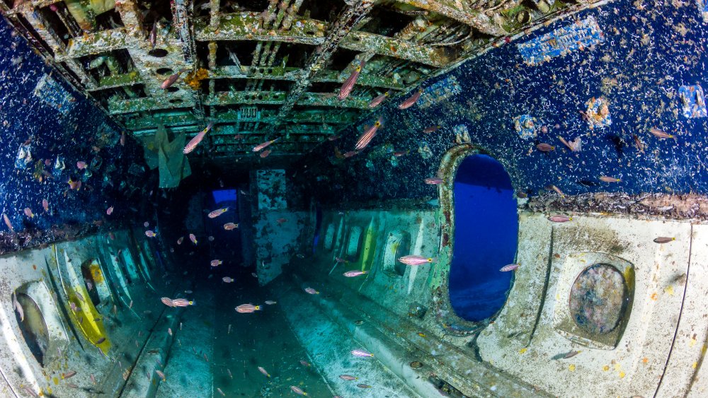 underwater plane wreckage