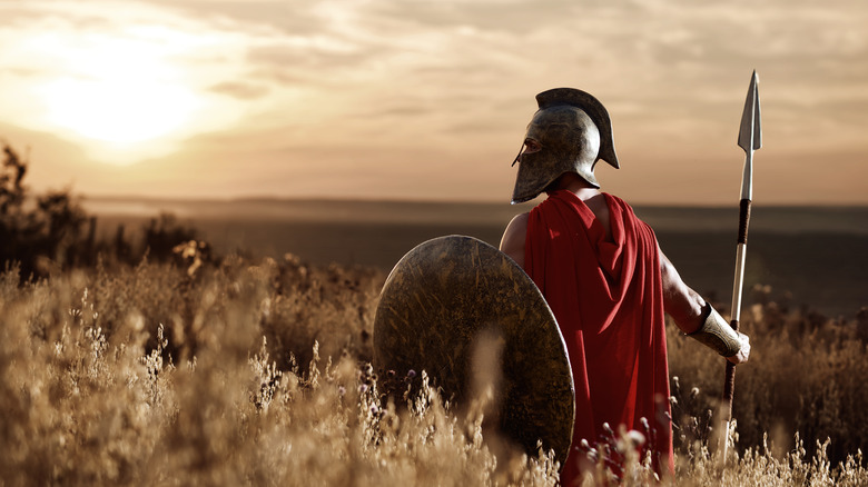 Spartan soldier in wheat field red cloak