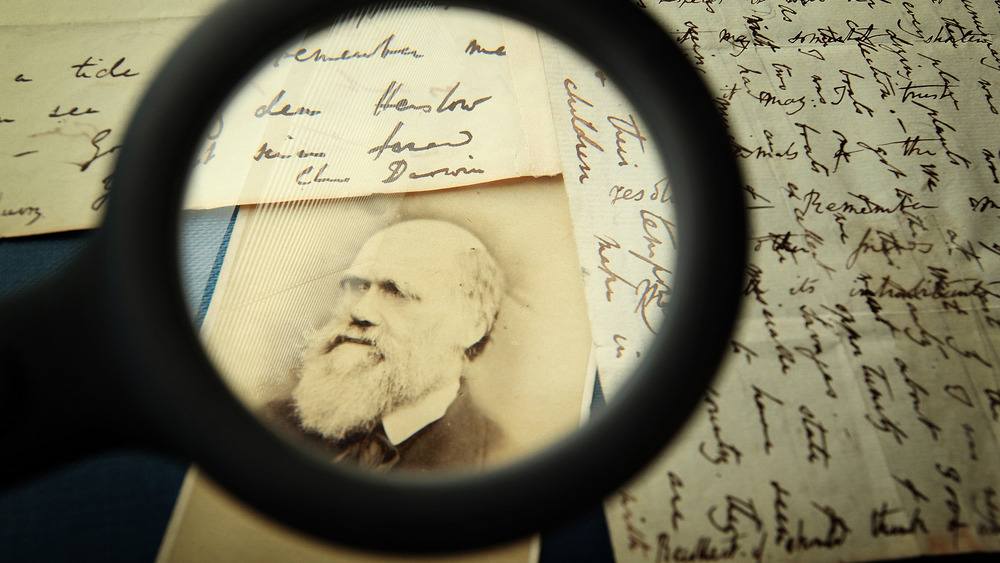 charles darwin with letters