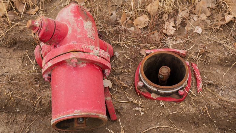 broken fire hydrant