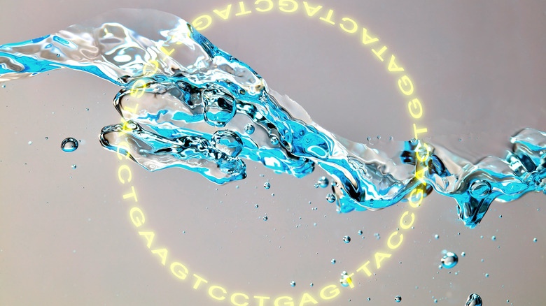 biomolecules sequenced in a ring 