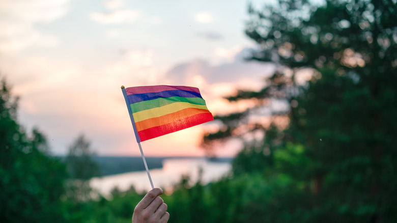 Hand waving a Pride flag