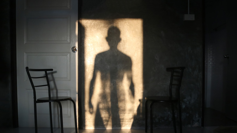 Shadow man 