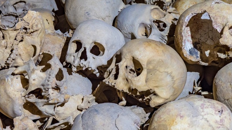 Pile of human skulls