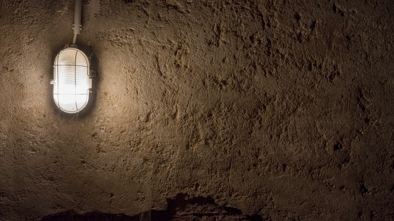 basement wall light