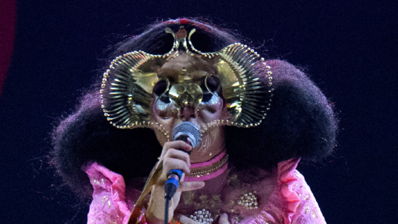 Bjork mask