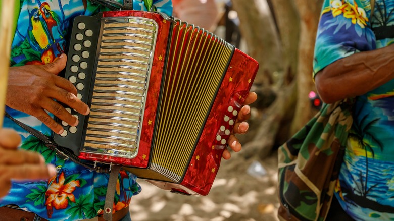 a musician playing the accordion