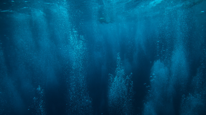 Bubbles rising from ocean bottom