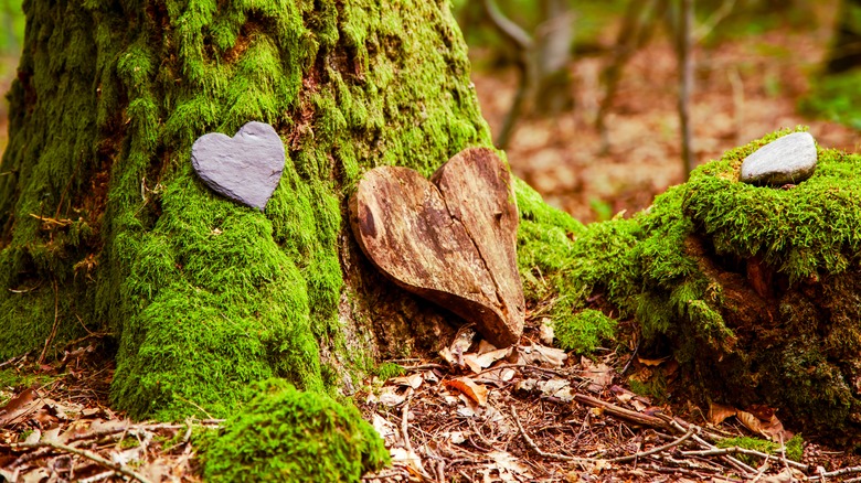 Memorial in the woods